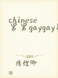 chinese男男gaygay网站