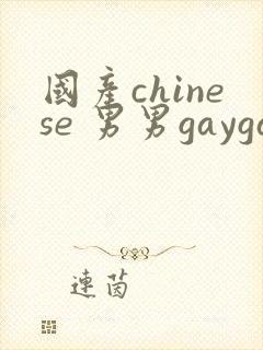 国产chinese 男男gaygay网站