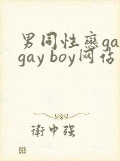 男同性恋gaygay boy网站