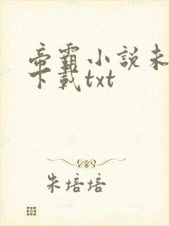 帝霸小说未删版下载txt