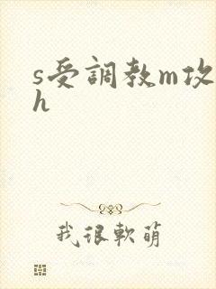 s受调教m攻高h