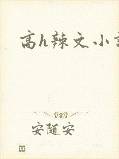 高h辣文小说