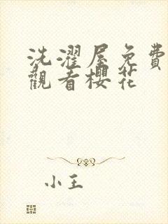 洗濯屋免费在线观看樱花封面
