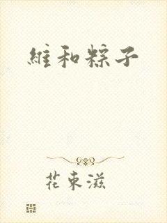 维和粽子