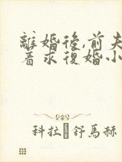 离婚后,前夫哭着求复婚小说全文在线阅读