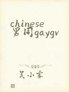 chinese男同gaygv