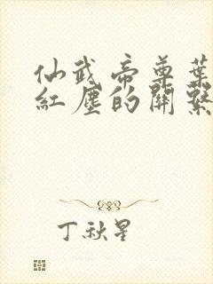 仙武帝尊叶辰与红尘的关系
