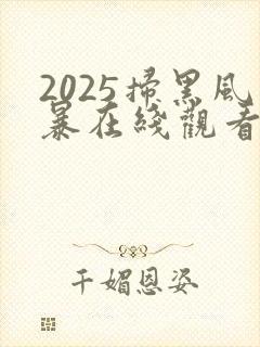 2025扫黑风暴在线观看完整版免费观看封面