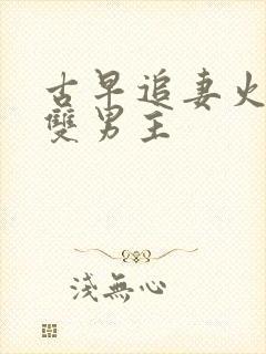 古早追妻火葬场双男主