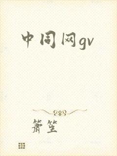 中同网gv封面
