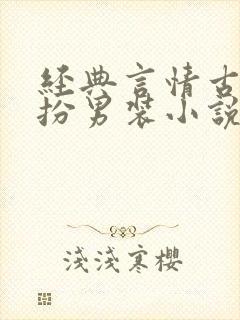 经典言情古代女扮男装小说推荐封面