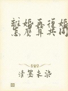 离婚再复婚财产怎么算共同财产的封面