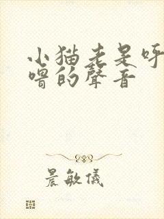 小猫老是呼噜呼噜的声音