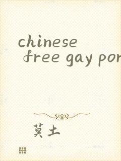 chinese free gay porn
