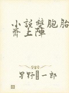 小说双胞胎姐妹齐上阵