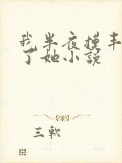 我半夜摸丰满c了她小说