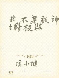 我不是戏神txt精校版