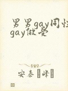 男男gay同性gay做受