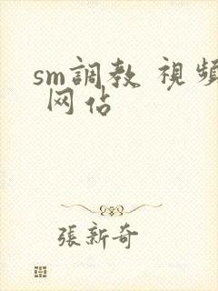 sm调教 视频 网站