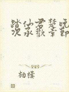 踏仙君楚晚宁初次承欢章节