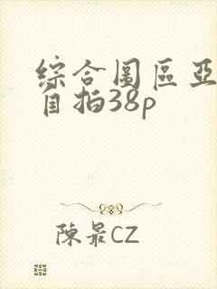 综合图区亚洲偷自拍38p