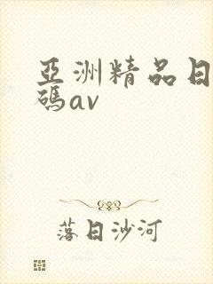 亚洲精品日韩有码av