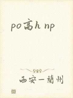 po高h np