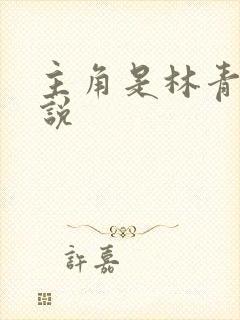 主角是林青的小说