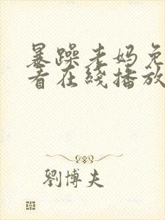 暴躁老妈免费观看在线播放电视剧全集