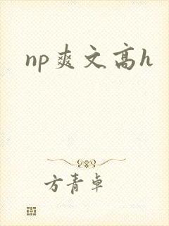 np爽文高h