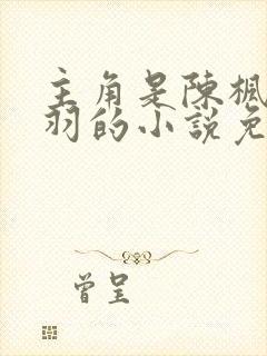 主角是陈枫燕清羽的小说免费阅读