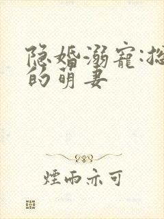 隐婚溺宠:总裁的萌妻