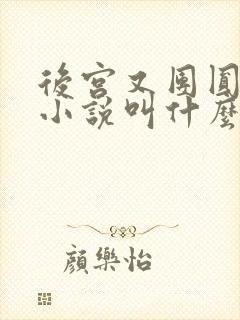 后宫又团圆原著小说叫什么名字