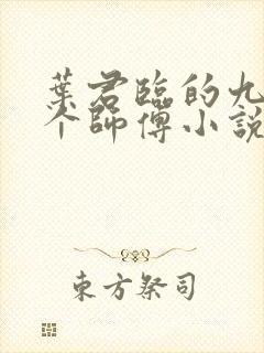 叶君临的九十九个师傅小说