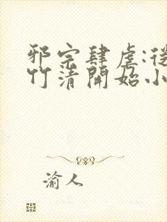 邪宗肆虐:从朱竹清开始小说封面