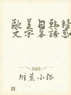 欧美日韩精品中文字幕诱惑