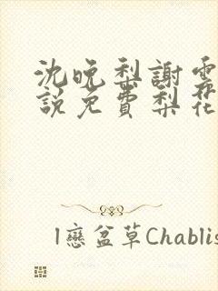 沈晚梨谢云迟小说免费梨花落尽云散夜封面