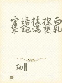 官场揉捏白嫩高耸饱满双乳小说封面