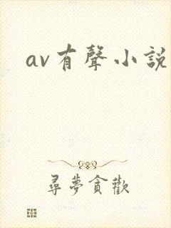 av有声小说封面