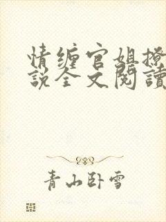 情缠官姐撩人小说全文阅读
