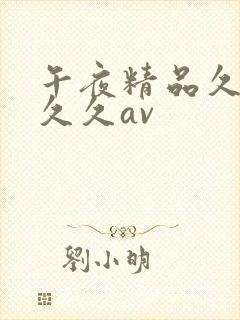 午夜精品久久久久久av