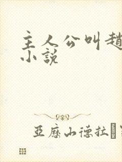 主人公叫赵明的小说