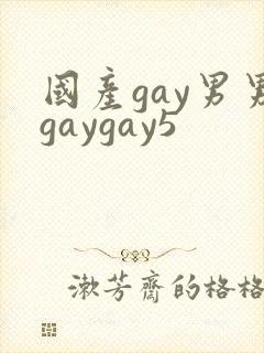 国产gay男男gaygay5