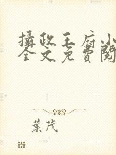 摄政王府小狂妃全文免费阅读封面