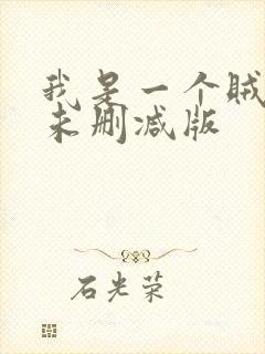 我是一个贼高清未删减版