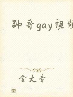 帅哥gay视频