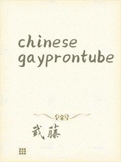 chinesegayprontube封面
