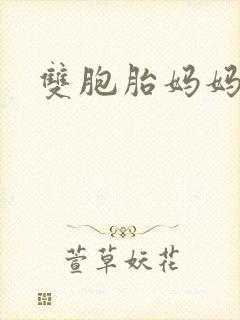 双胞胎妈妈小说