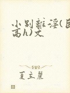 小别离淫(巨肉高h)文