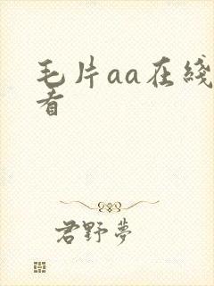 毛片aa在线观看